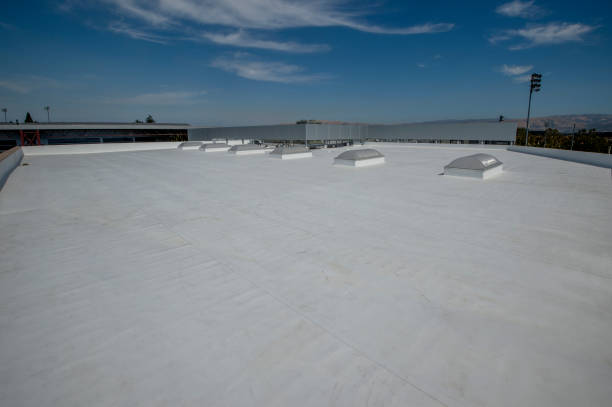 Best Metal Roofing Installation  in Toluca, IL