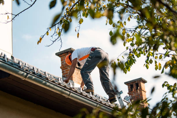 Fast & Reliable Emergency Roof Repairs in Toluca, IL