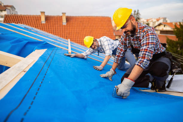Best Roof Ventilation Installation  in Toluca, IL