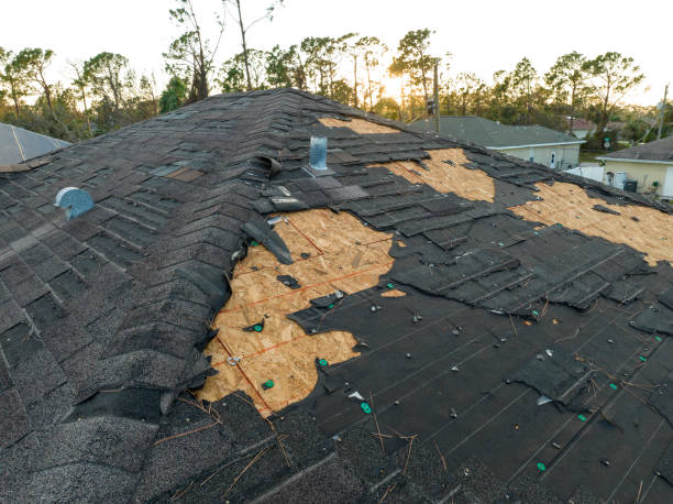 Best Roof Leak Repair  in Toluca, IL