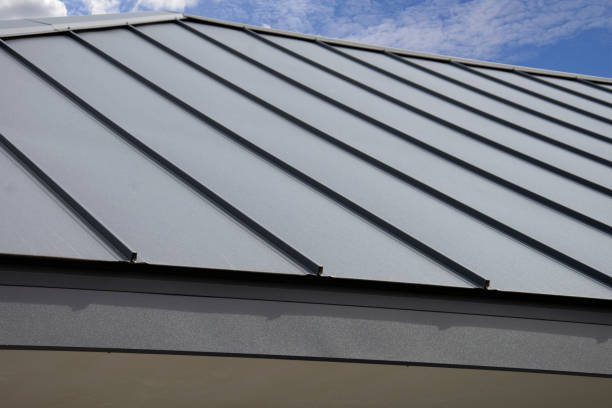 Best Roof Moss and Algae Removal  in Toluca, IL