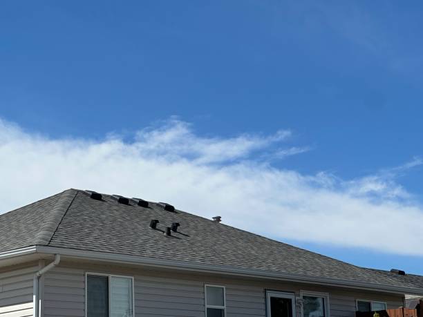 Best Asphalt Shingles Roofing  in Toluca, IL