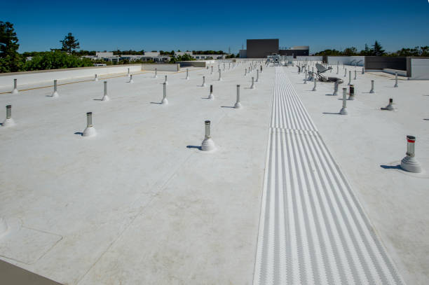 Best Solar Panel Roofing Installation  in Toluca, IL